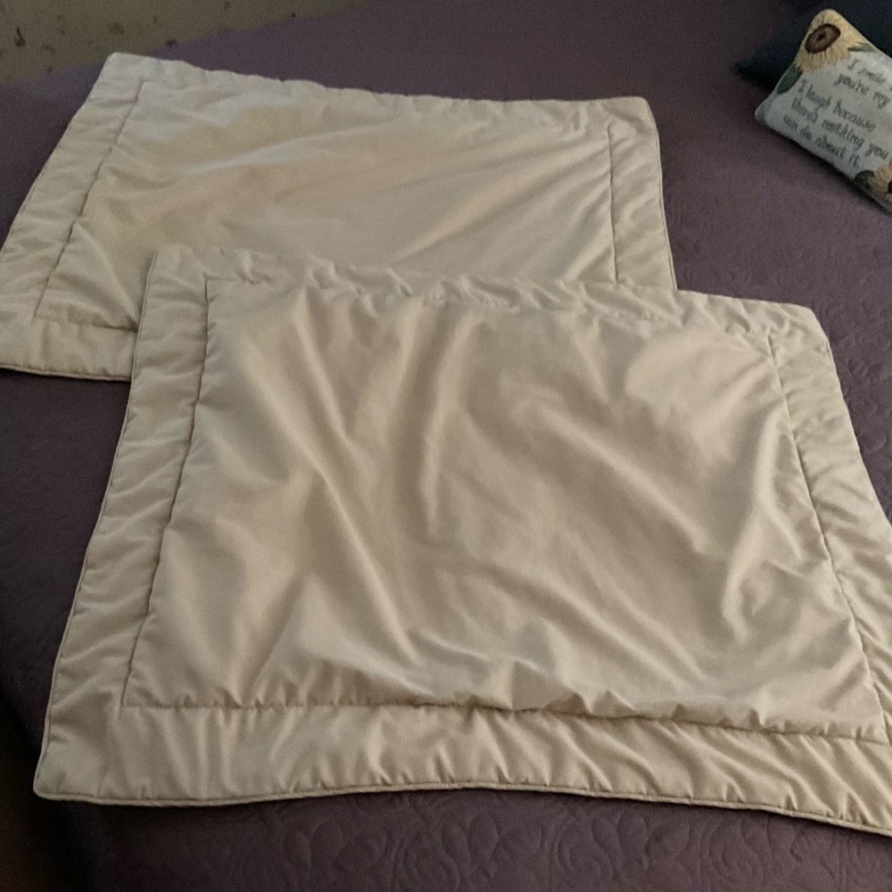 Matched Set of Pillow Shams